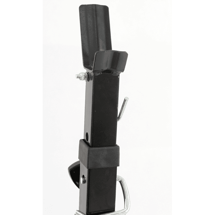 BodyTrain Elite Weight Bench