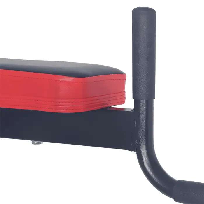 BodyTrain Power Tower and Weight Bench