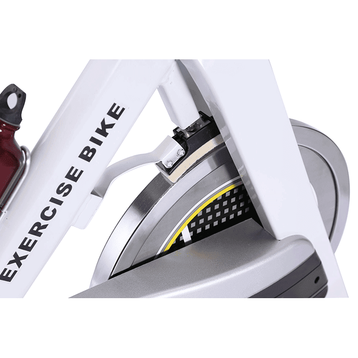 BodyTrain S-9011 Semi-Commercial Studio Racing Exercise Bike