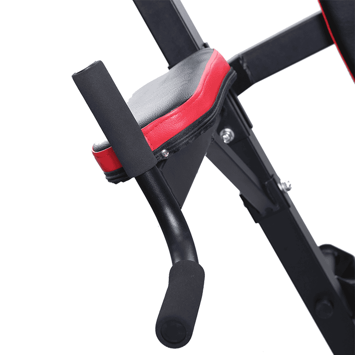 BodyTrain Power Tower and Weight Bench